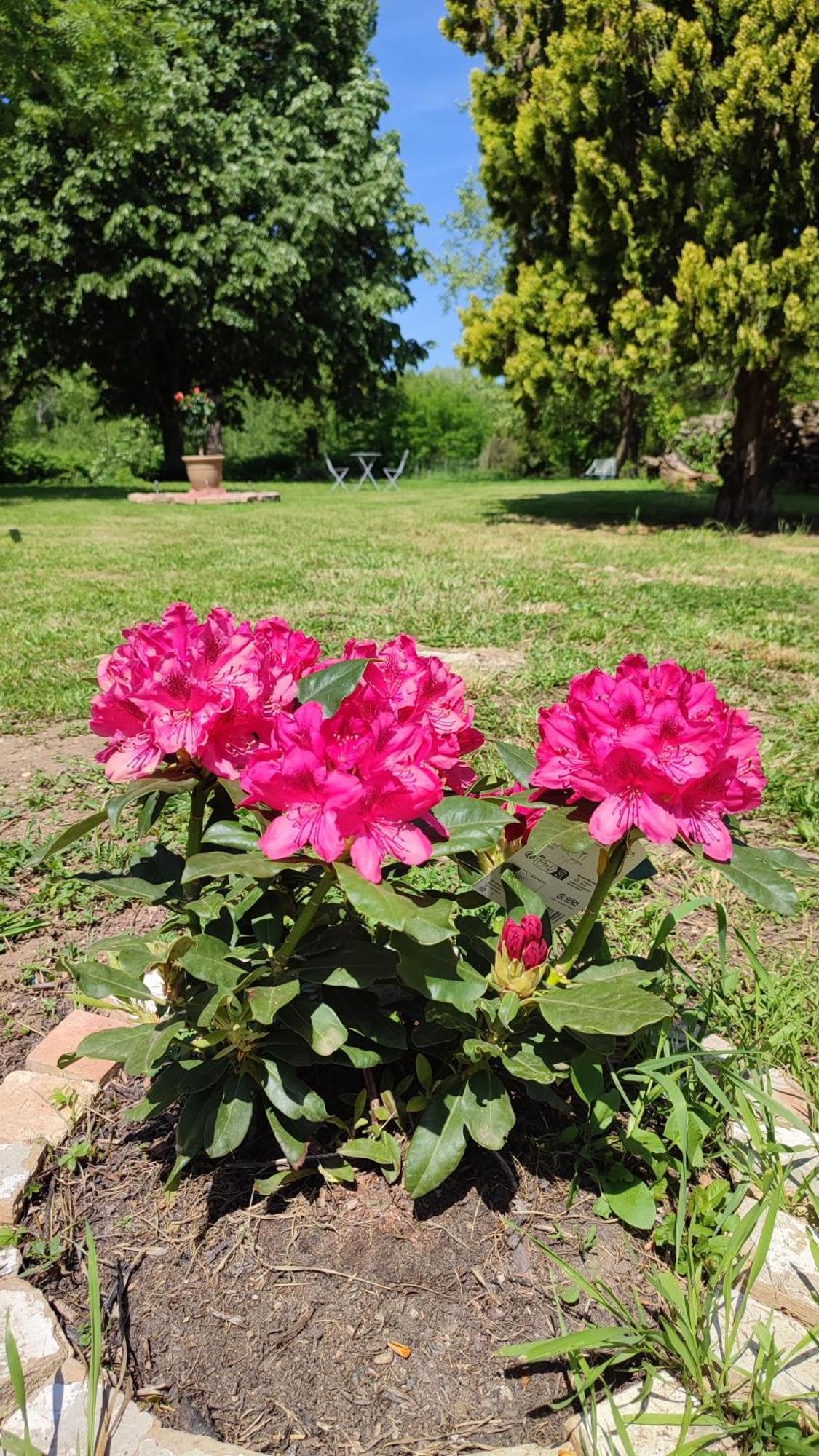 Hotel La Rose Paisible Brusson Zewnętrze zdjęcie
